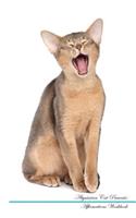 Abyssinian Cat Affirmations Workbook Abyssinian Cat Presents: Positive and Loving Affirmations Workbook. Includes: Mentoring Questions, Guidance, Supporting You.