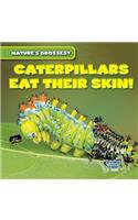 Caterpillars Eat Their Skin!