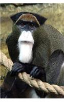 De Brazza's Monkey (Cercopithecus neglectus) Central Africa Journal: 150 Page Lined Notebook/Diary