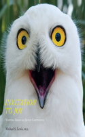 Invitation to Joy