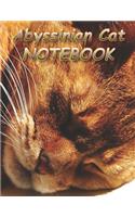 Abyssinian Cat NOTEBOOK: Notebooks and Journals 110 pages (8.5"x11")