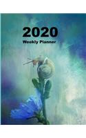 2020 Weekly Planner: Monthly Calendar Organiser (Nature cover with snail)