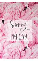 Sorry I'm Gay