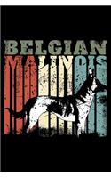 Belgian Malinois