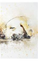 Labrador Retriever Notebook