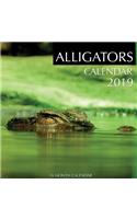 Alligators Calendar 2019