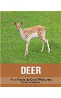 Deer: Fun Facts & Cool Pictures