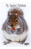 My Squirrel Notebook: A 6x9 Lined Notebook to Record Observations, Notes and Musings about Squirrels