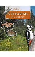 A Clearing in the Forest (Life in a ...)