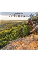 Arkansas Wild & Scenic 2020 Square Foil