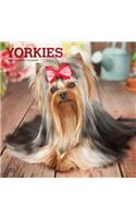 Yorkshire Terriers 2021 Square Foil