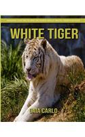 White Tiger