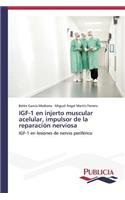 IGF-1 en injerto muscular acelular, impulsor de la reparación nerviosa