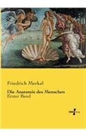 Die Anatomie des Menschen