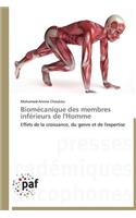Biomécanique Des Membres Inférieurs de l'Homme