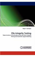 Pile Integrity Testing