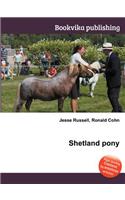 Shetland Pony: (English)