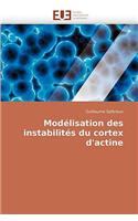 Modélisation Des Instabilités Du Cortex d''actine