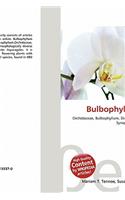 Bulbophyllum Janus: (English)