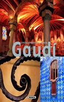 Gaudi
