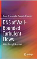 DNS of Wall-Bounded Turbulent Flows