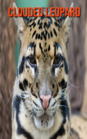 Clouded Leopard: Amazing Facts & Pictures