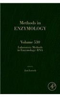 Laboratory Methods in Enzymology: RNA