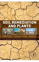 Soil Remediation and Plants