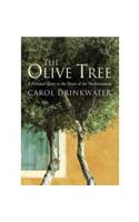 The Olive Tree 