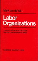 Labor Organisations: A Macro- and Micro-Sociological analysis on A Comparative Basis