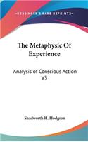Metaphysic Of Experience