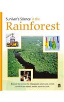 In The Rainforest