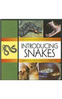 Introducing Snakes