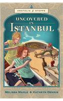 Uncovered in Istanbul