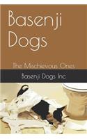 Basenji Dogs: The Mischievous Ones