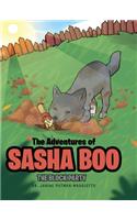 The Adventures of Sasha Boo: The Block Party