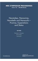 Nanotubes, Nanowires, Nanobelts and Nanocoils Promise, Expectations and Status: Volume 1142