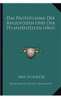 Protoplasma Der Rhizopoden Und Der Pflanzenzellen (1863)