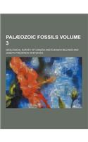 Palaeozoic Fossils Volume 3: (English)