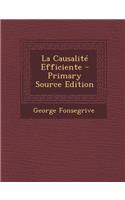 La Causalite Efficiente