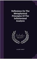 Reflexions on the Metaphysical Principles of the Infinitesimal Analysis