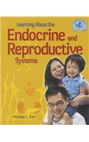 Learning about the Endocrine and Reproductive Systems