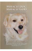 Miracle Dog Miracle God: What God the Father taught me about Himself through the love of a dog