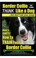 Border Collie Dog Training - Think Like a Dog, But Don't Eat Your Poop!