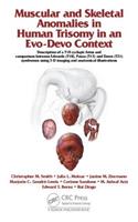 Muscular and Skeletal Anomalies in Human Trisomy in an Evo-Devo Context