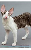 Cornish Rex Affirmations Workbook Cornish Rex Presents