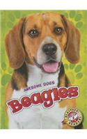 Beagles