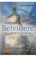 Goodbye, Belvidere: His Eye Is on the Sparrow