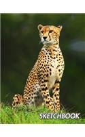 Sketchbook: Cheetah - Acinonyx jubatus - Unlined Notebook 150 Blank Pages 8.5 x 11 in.- Sketchbook - Multi-Purpose - Unruled Journal - Plain Diary - Agenda - Co