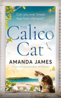 Calico Cat